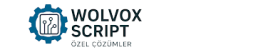 Akınsoft Wolvox Script